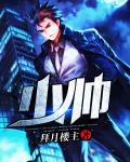 少帥