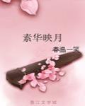 素華映月